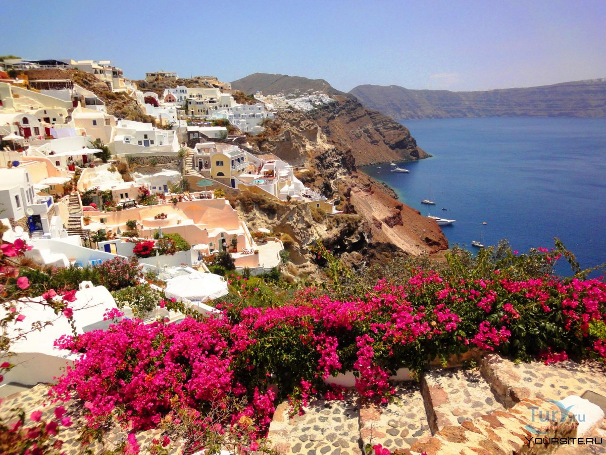 Греция остров Санторини цветы