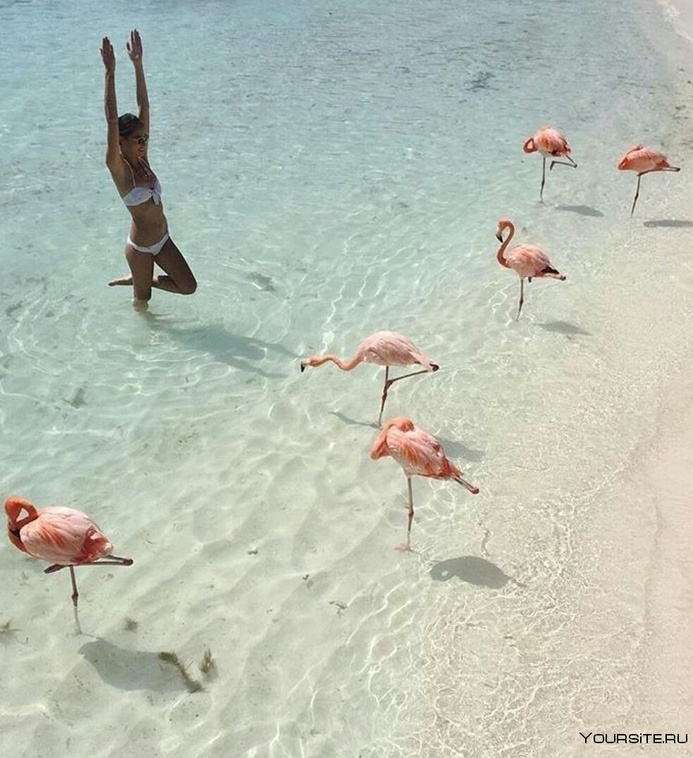 Пилар пляж Кайо Коко с Фламинго