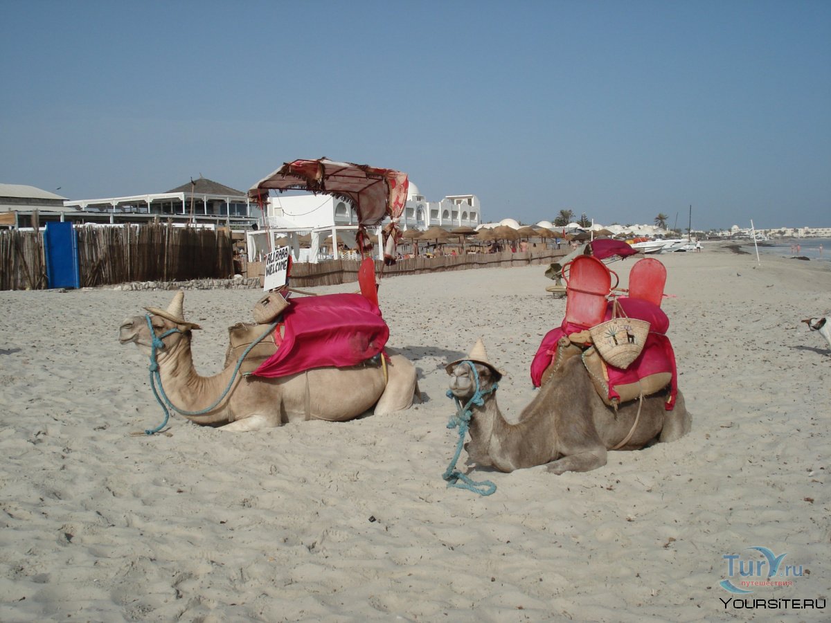 Тунисские пляжи