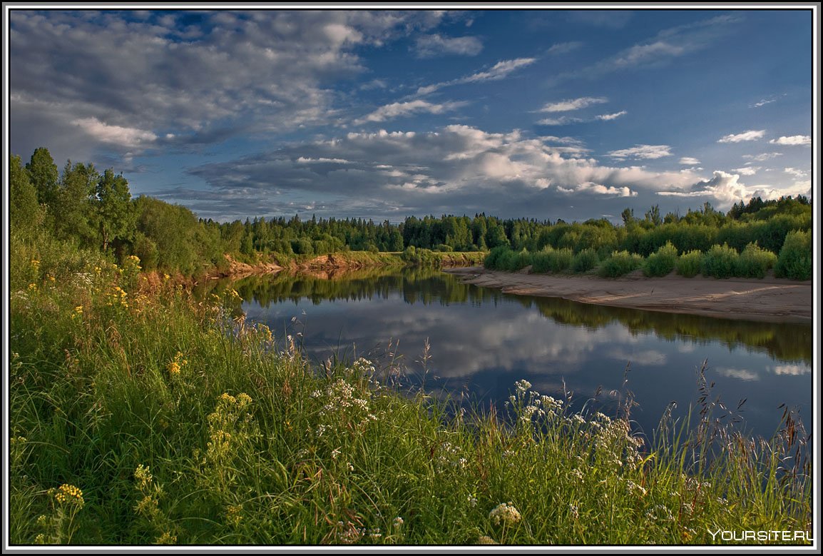 Река Ветлуга Костромская область