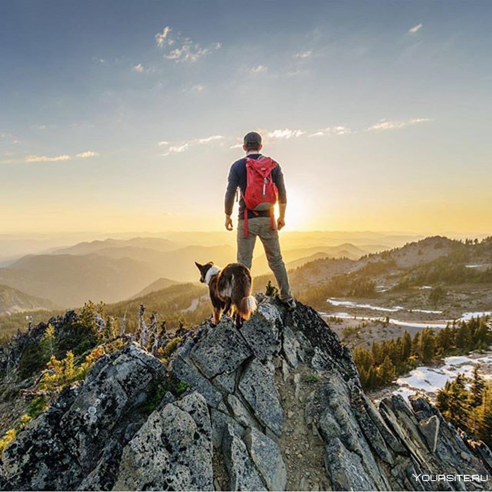 Человек с собакой в горах