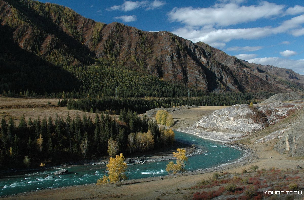 Река Катунь Республика Алтай
