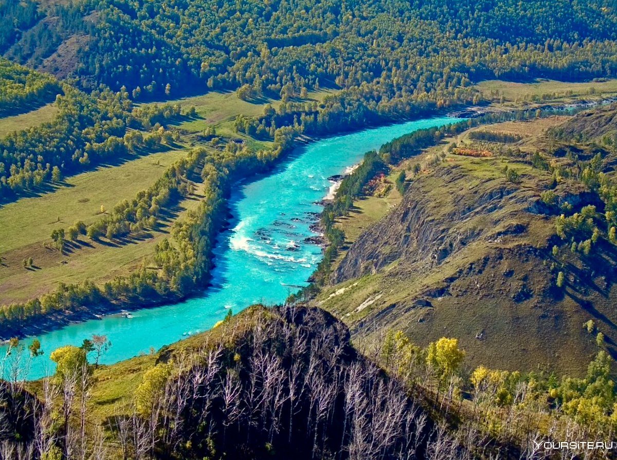 Река Катунь горный Алтай