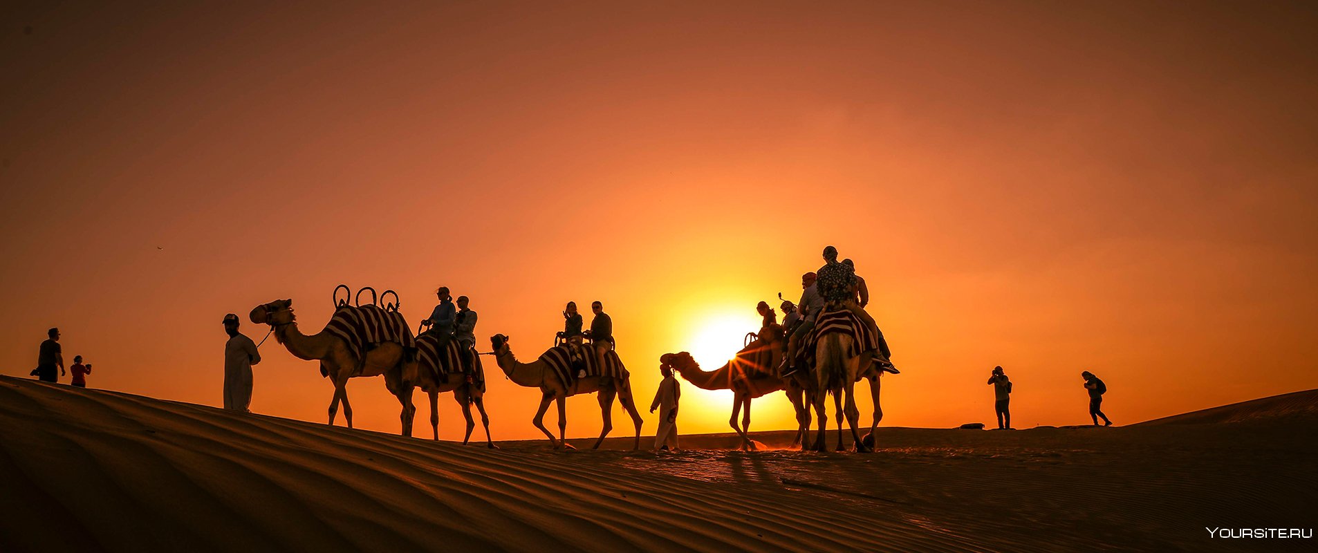 Караван солнца. Сафари Абу Даби. Сафари в пустыне Абу Даби. Абу Даби верблюд. Абу Даби поло на верблюдах.