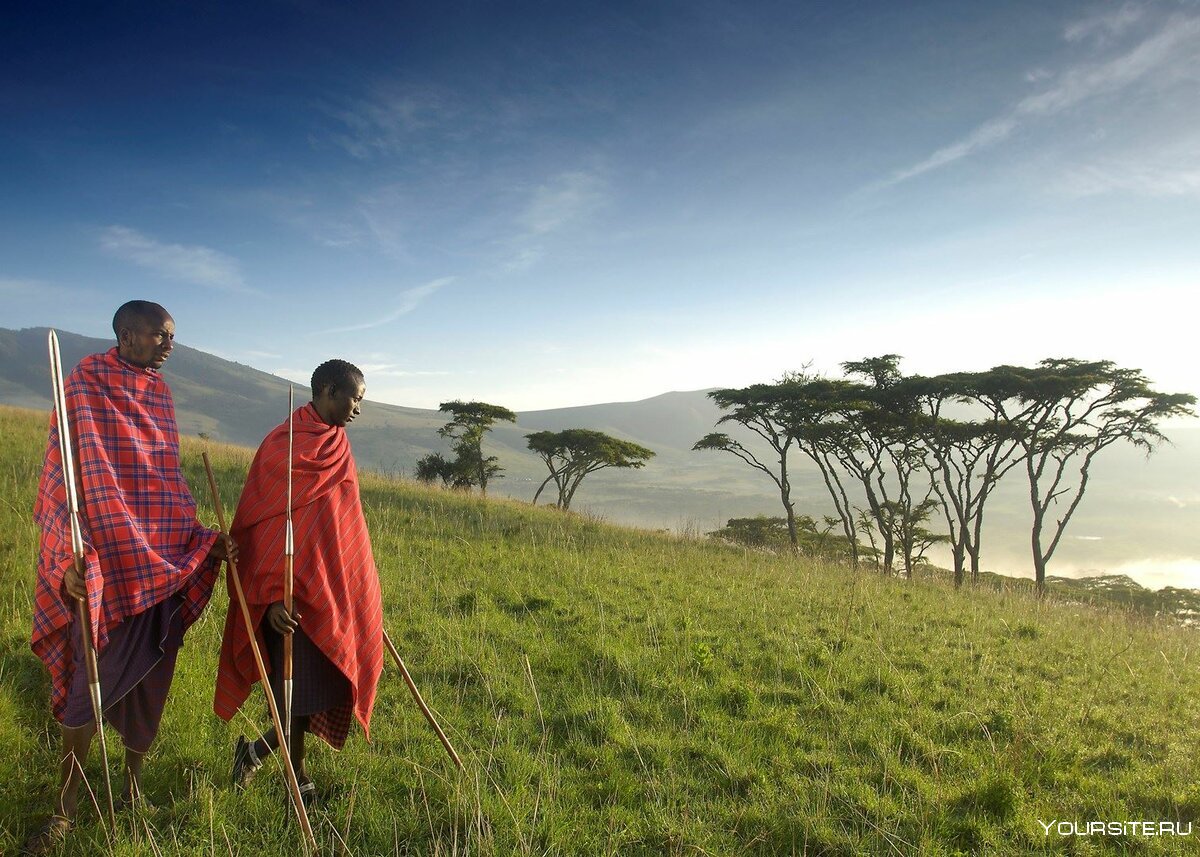 Лоджи в Танзании на сафари