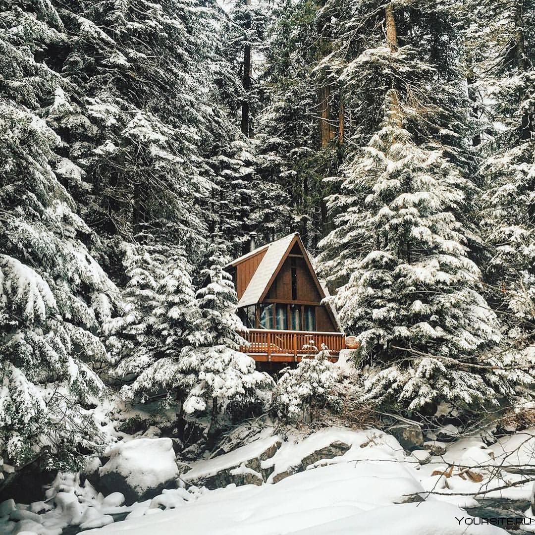 Зимний дом в лесу утро