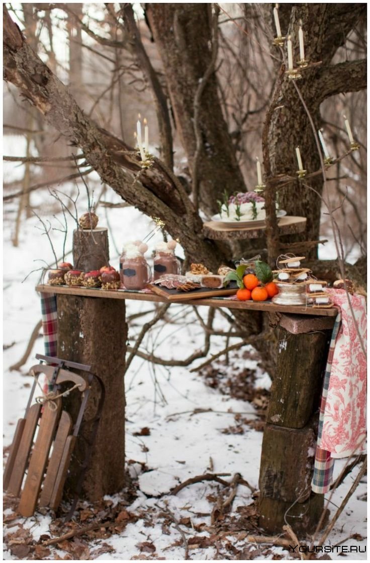 Пикник зимой на природе