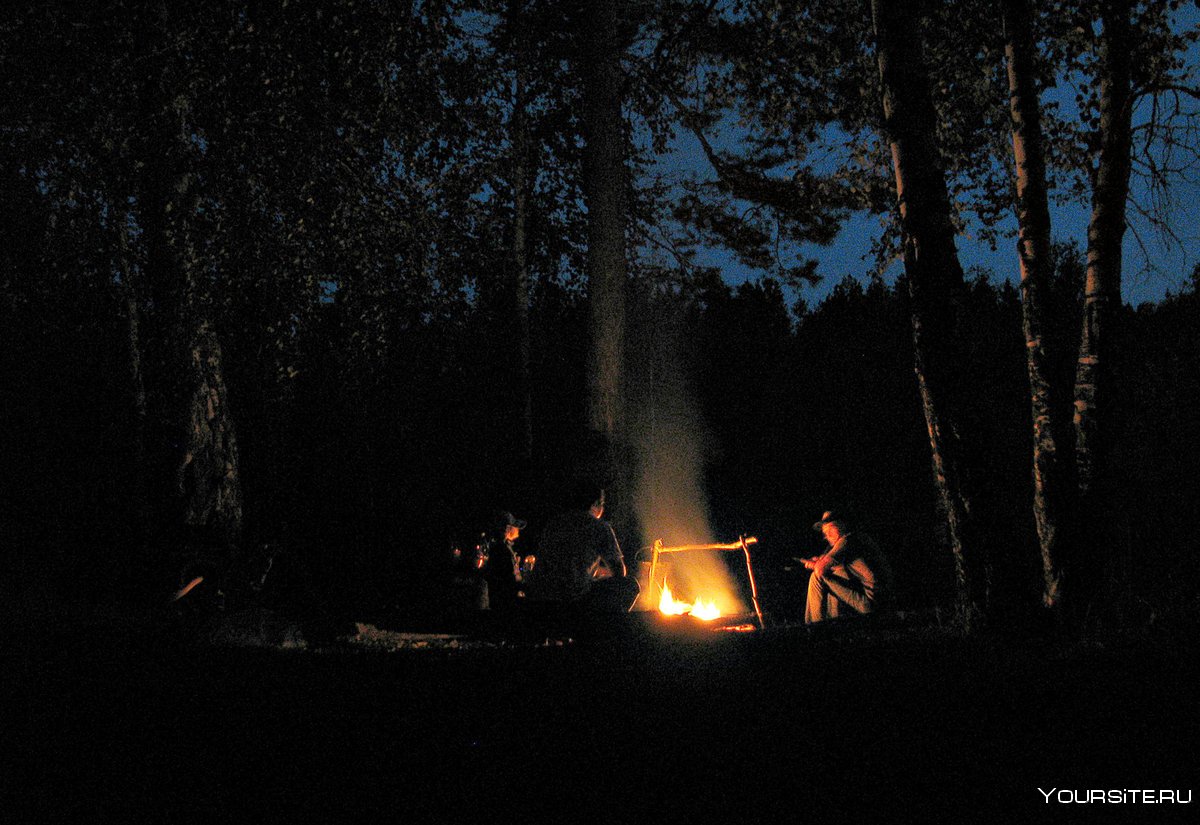 Костёр в лесу ночью