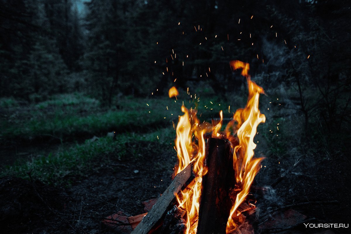 Пламя в лесу