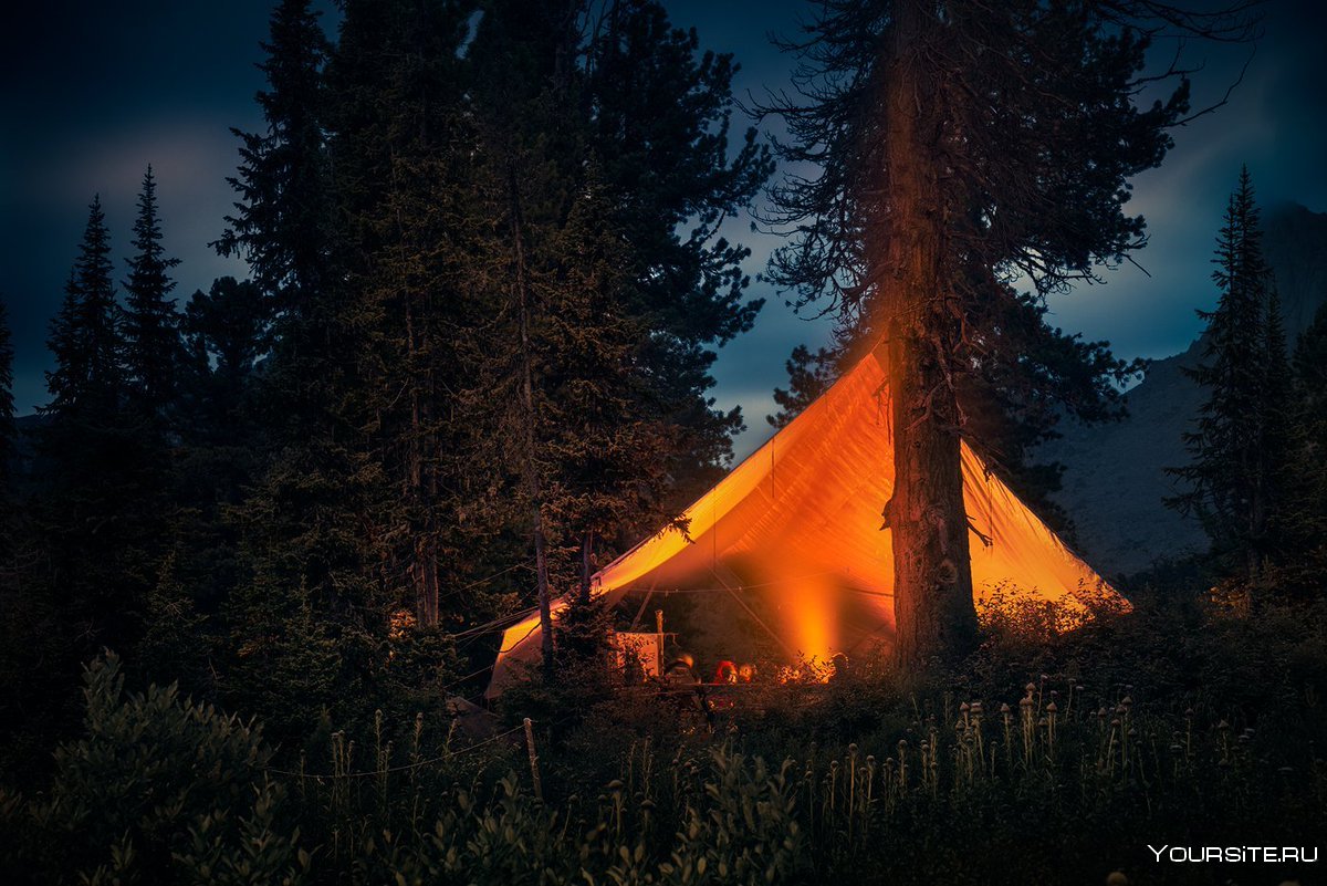 Палаточный лагерь "Вольный город"