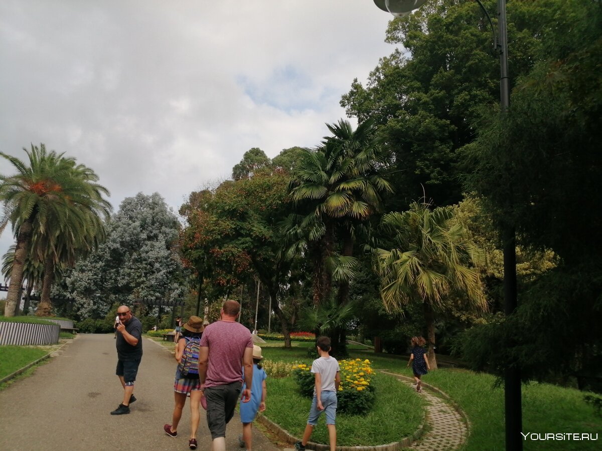 Ботанический сад Батуми в сентябре