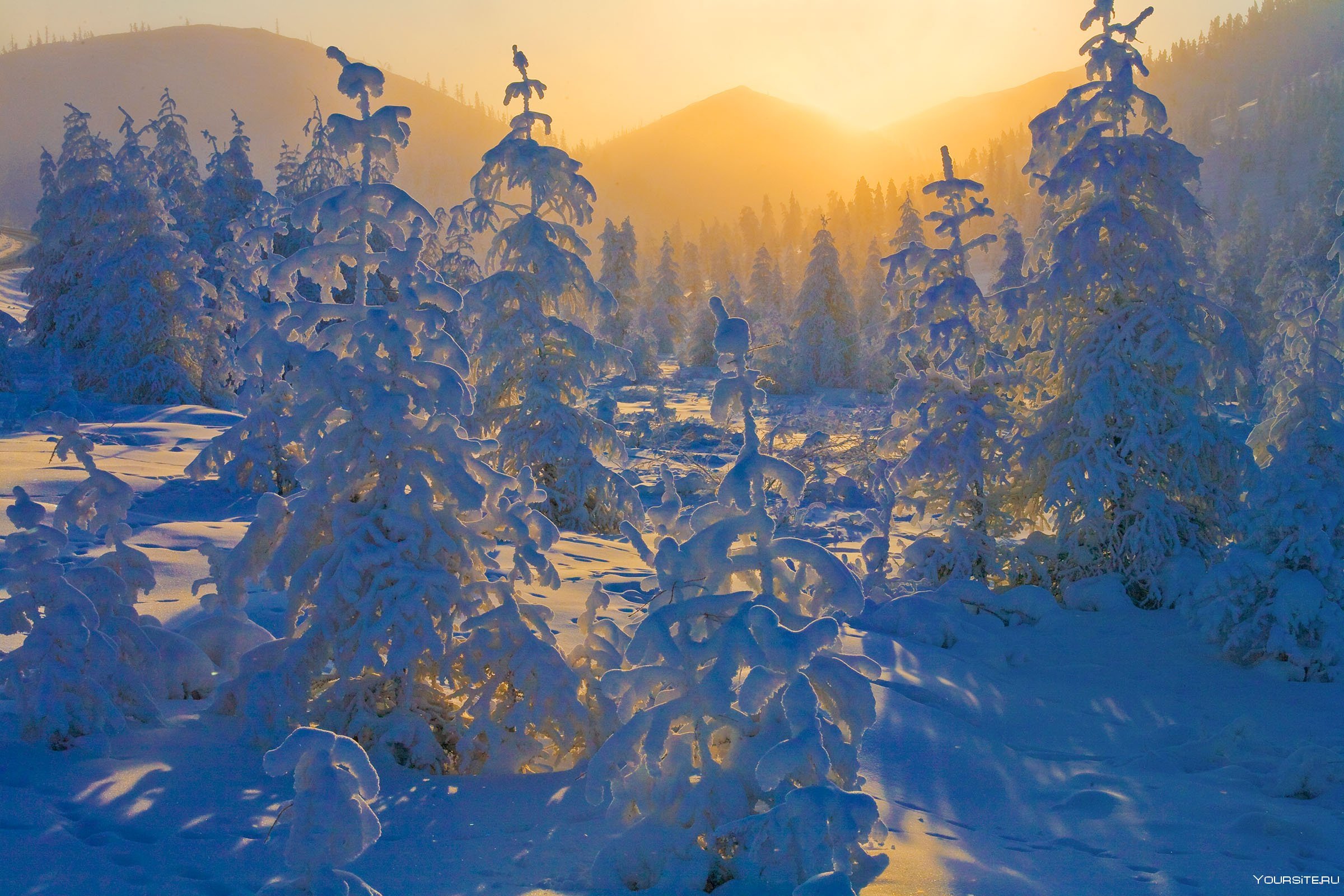 Якутские зимние. Якутия зимой. Якутский зимний пейзаж.