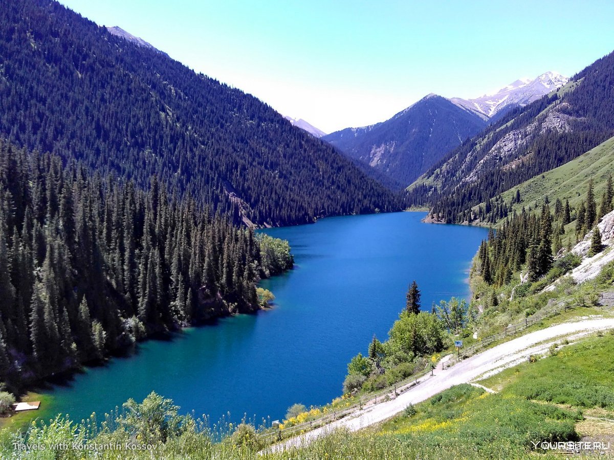 Озеро с соснами Казахстан