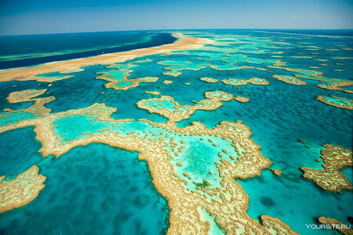 Австралийский большой Барьерный риф