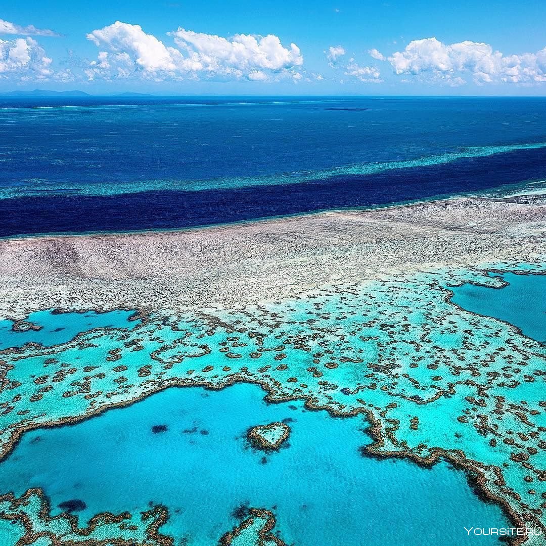 The great Barrier Reef