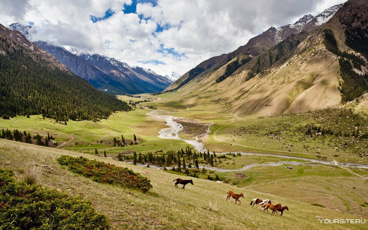 Альпийские Луга в Кыргызстане
