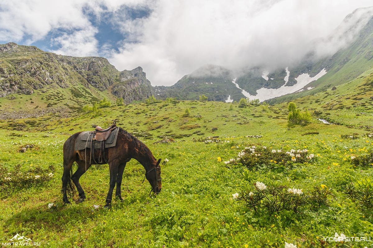 Тур «Кавказ в твоем сердце: верхняя Балкария и Архыз!»
