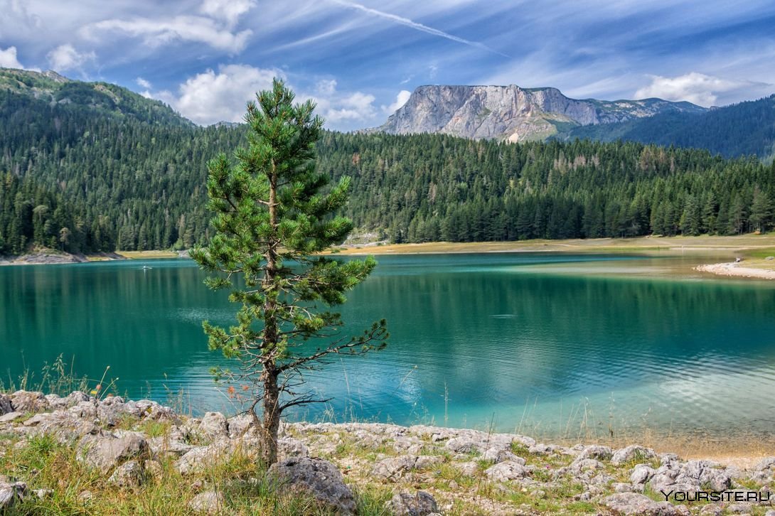Черное озеро Жабляк Черногория