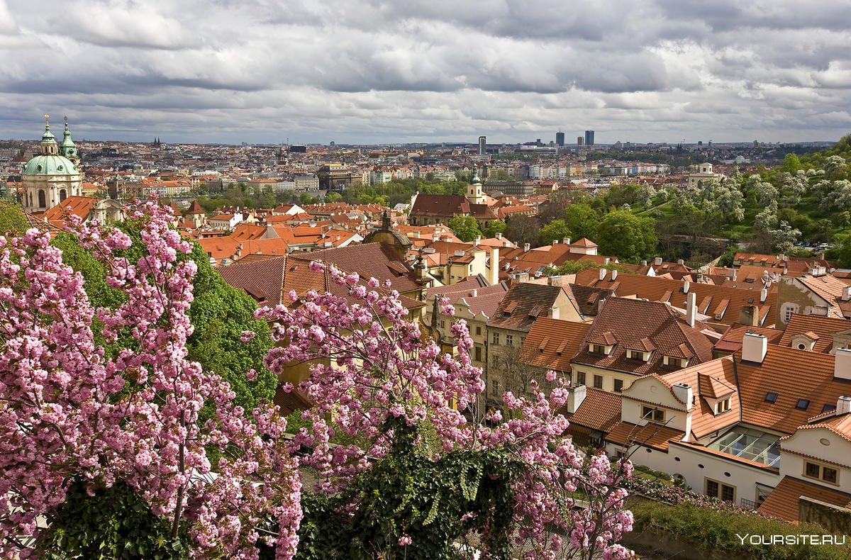 Чехия прага весной