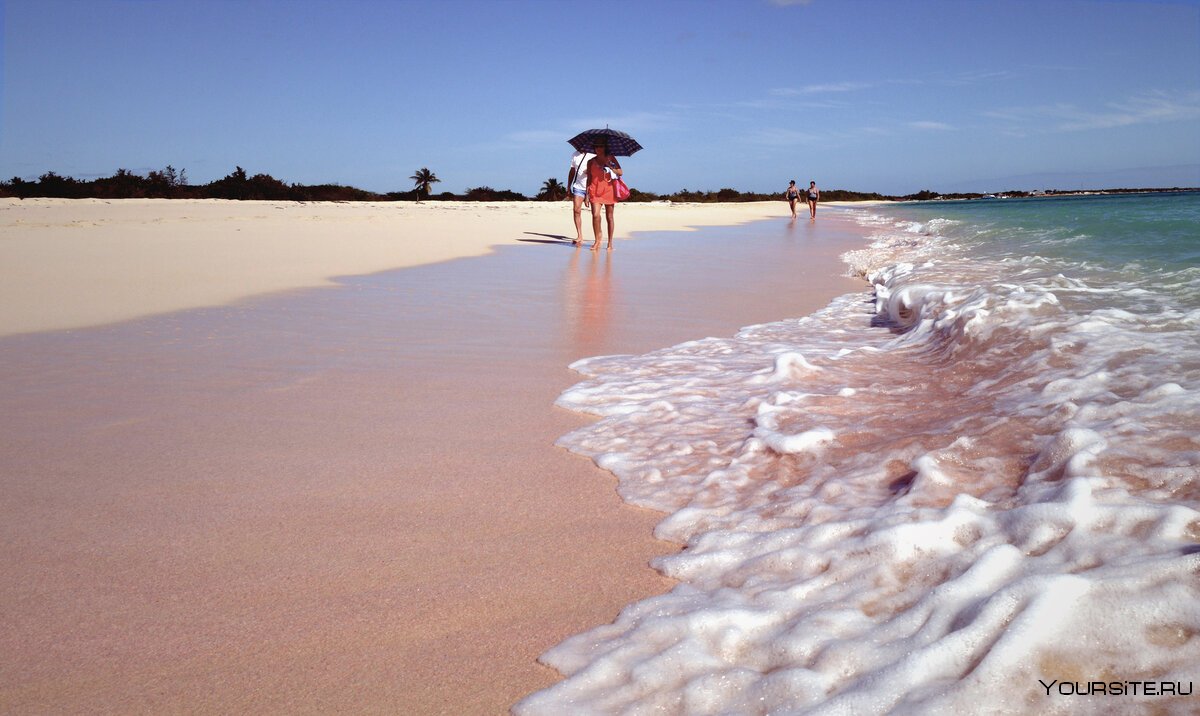 Розовый пляж Барбуда