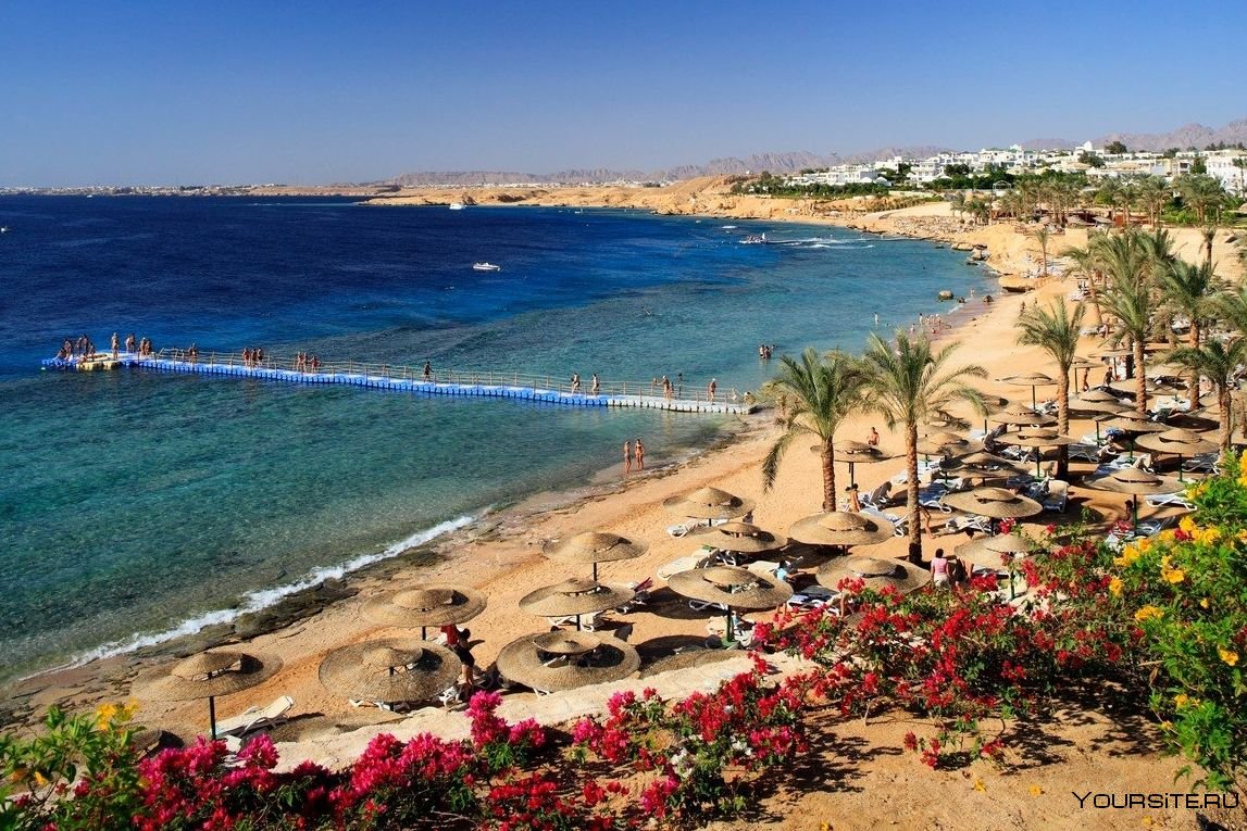 египет фото пляжей и отелей