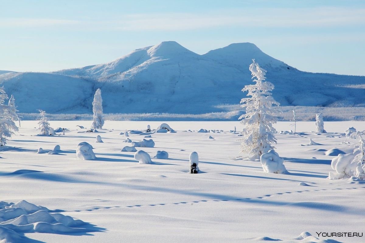 Зимний пейзаж Нюрба Якутия