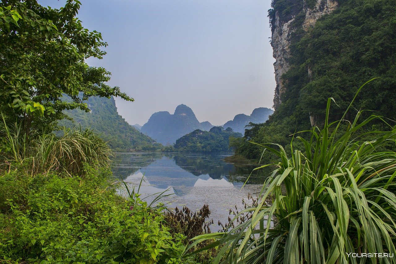 Джунгли во вьетнаме