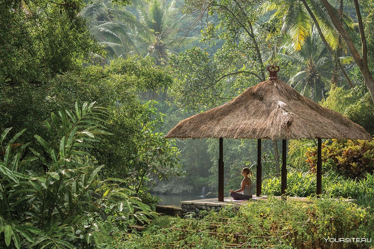 Бали джунгли