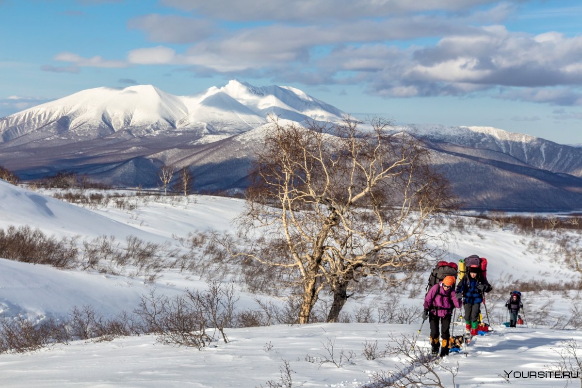 Природный парк «Налычево», Камчатка зимой