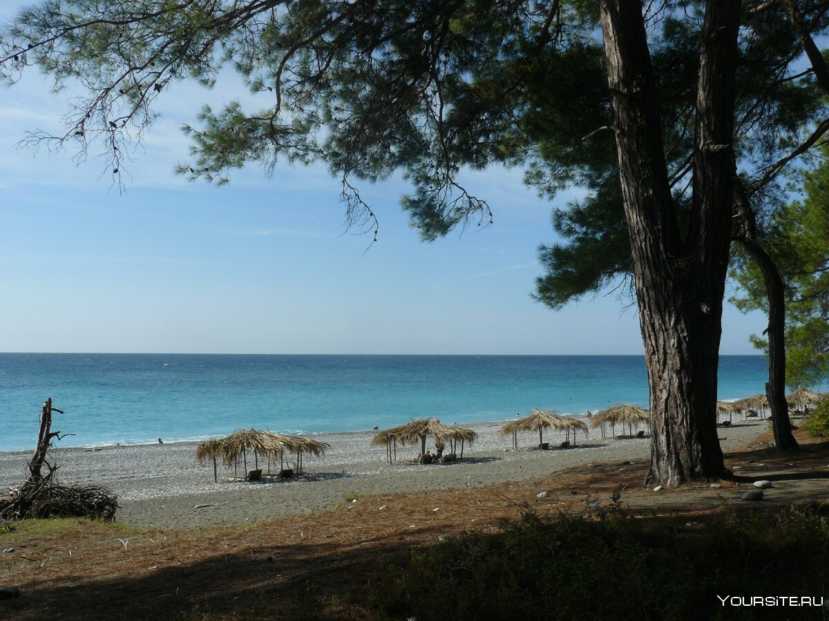 Море Абхазия Пицунда