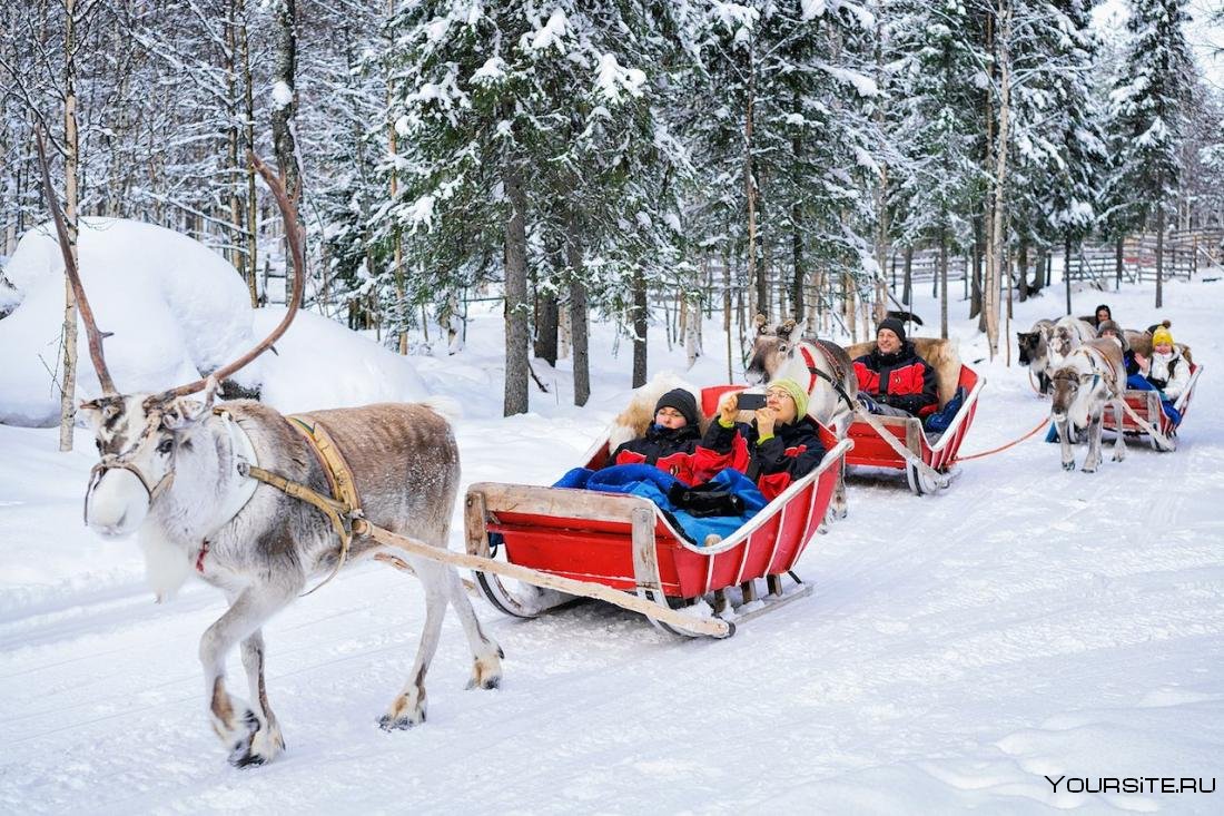 Туризм зимой Лапландия
