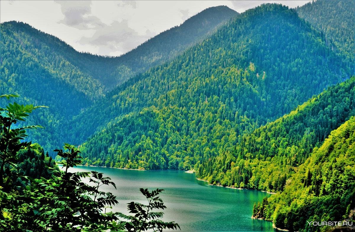 Природа Абхазии озеро Рица