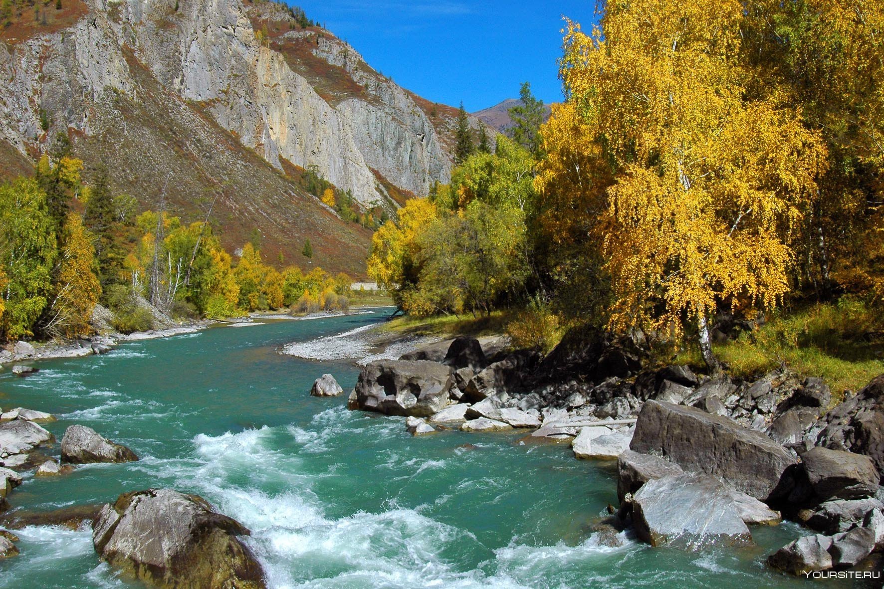Река Катунь Алтай осень