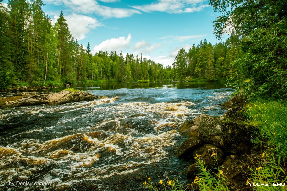 Река Шуя природа Карелии
