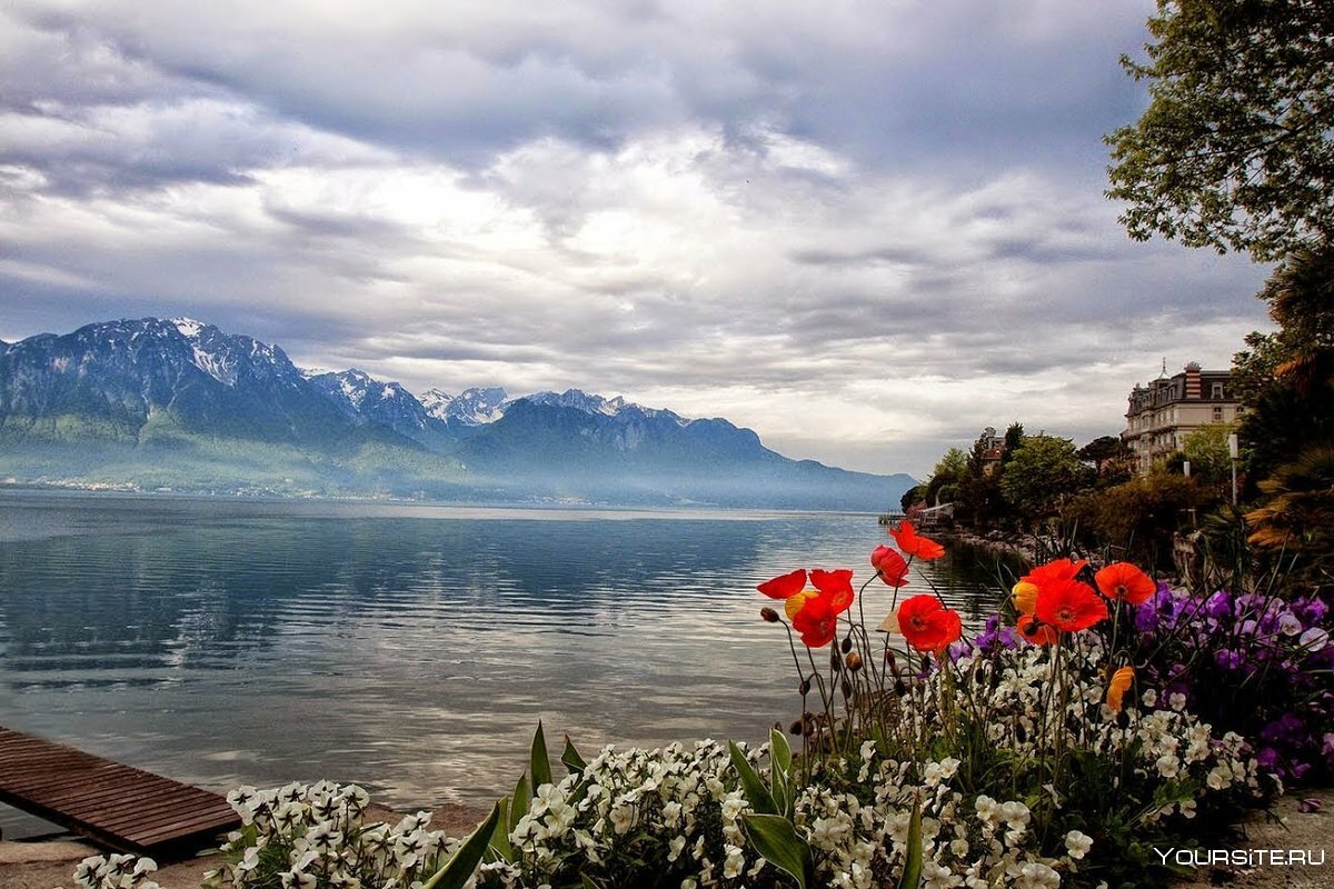 Озеро тун Швейцария