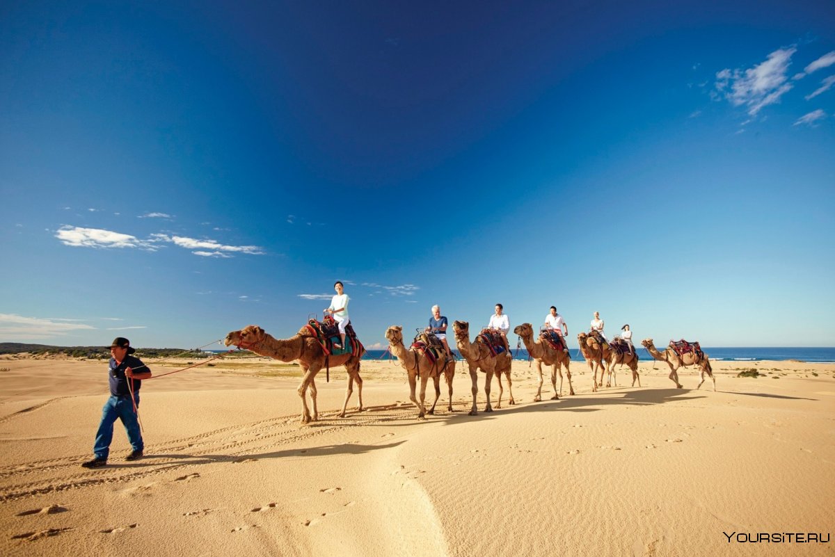 Австралия отдых и туризм