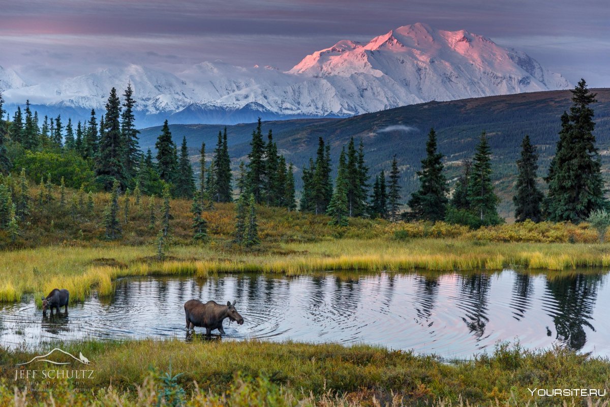 Экотуризм Аляска