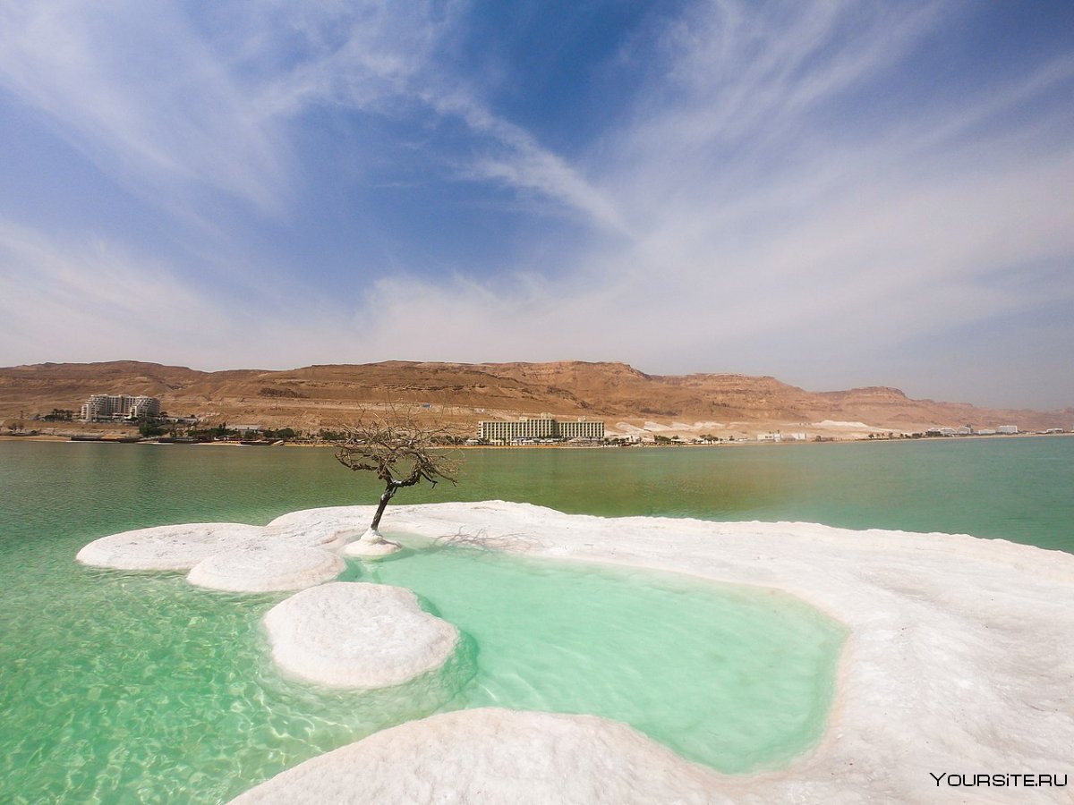 Мертвое море Израиль фото туристов