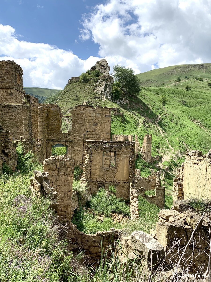 Гамсутль Тульской области