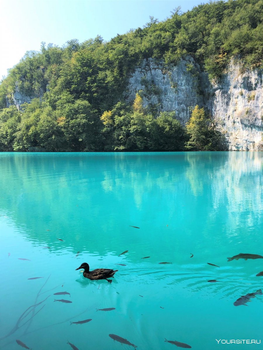 Туристы на Плитвицкие озёра (Plitvice Lakes), Хорватия