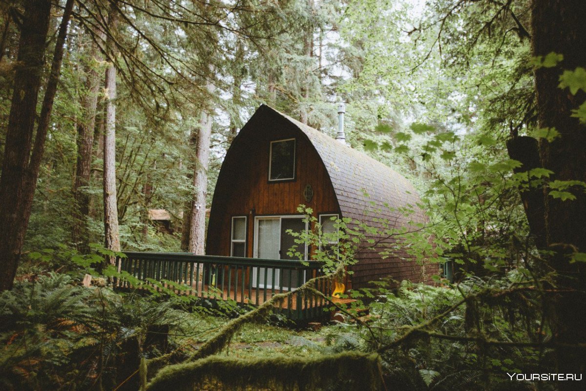 Майк Келли дом в лесу