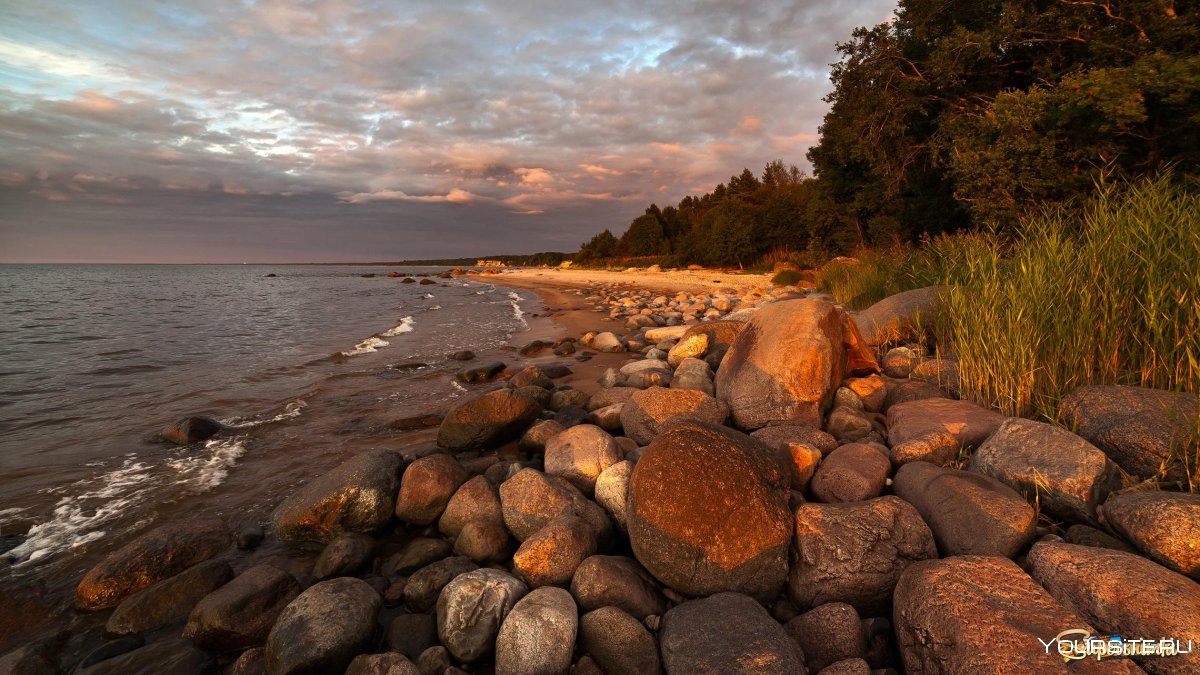 Каменный берег валуны финский залив