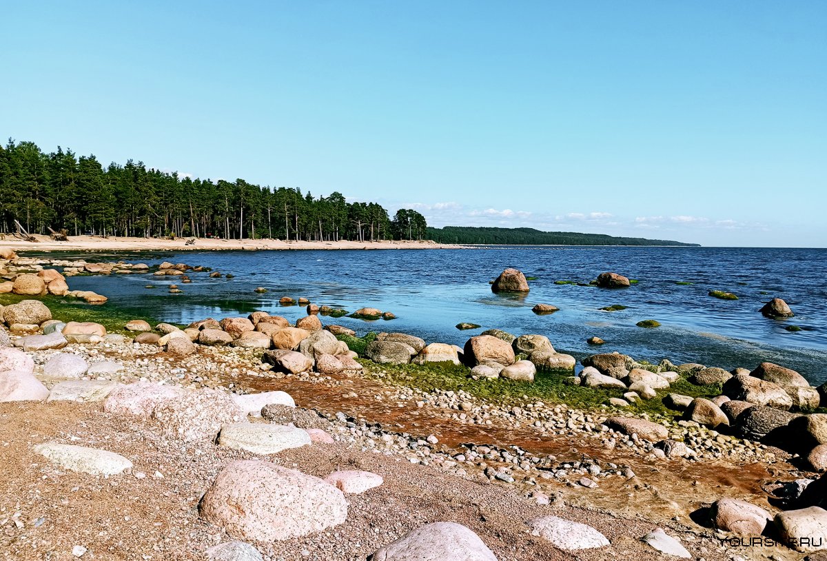 Балтийское море финский залив Санкт-Петербург