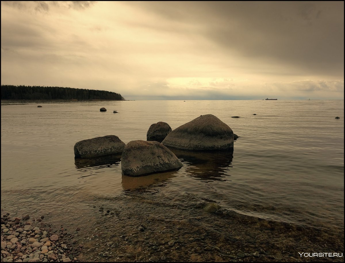 Каменный берег валуны финский залив