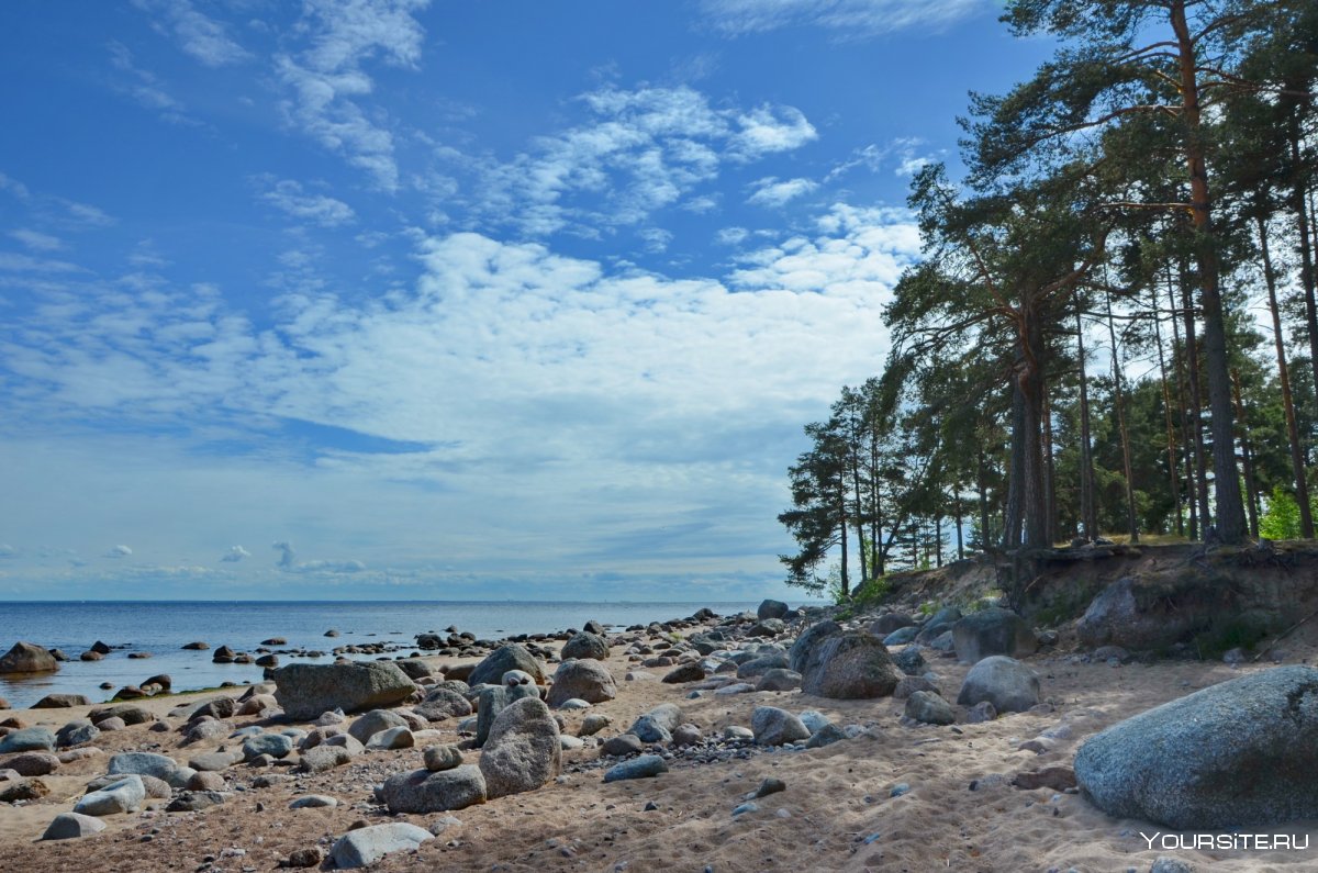 Озерки финский залив