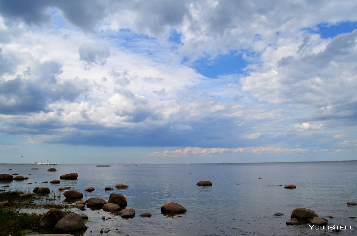 Финский залив Зеленогорск лето