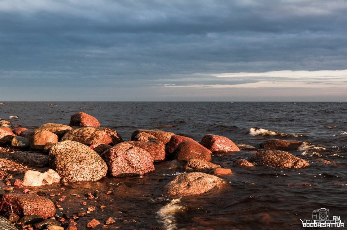 у берегов финского залива