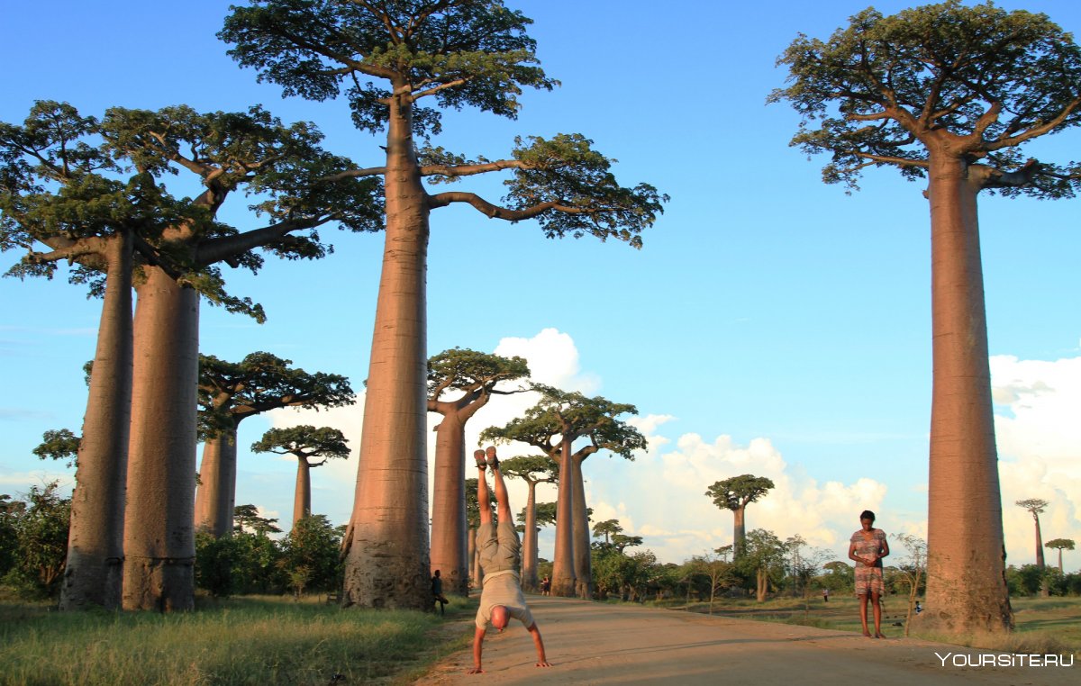 Экологических туризма в Мадагаскаре