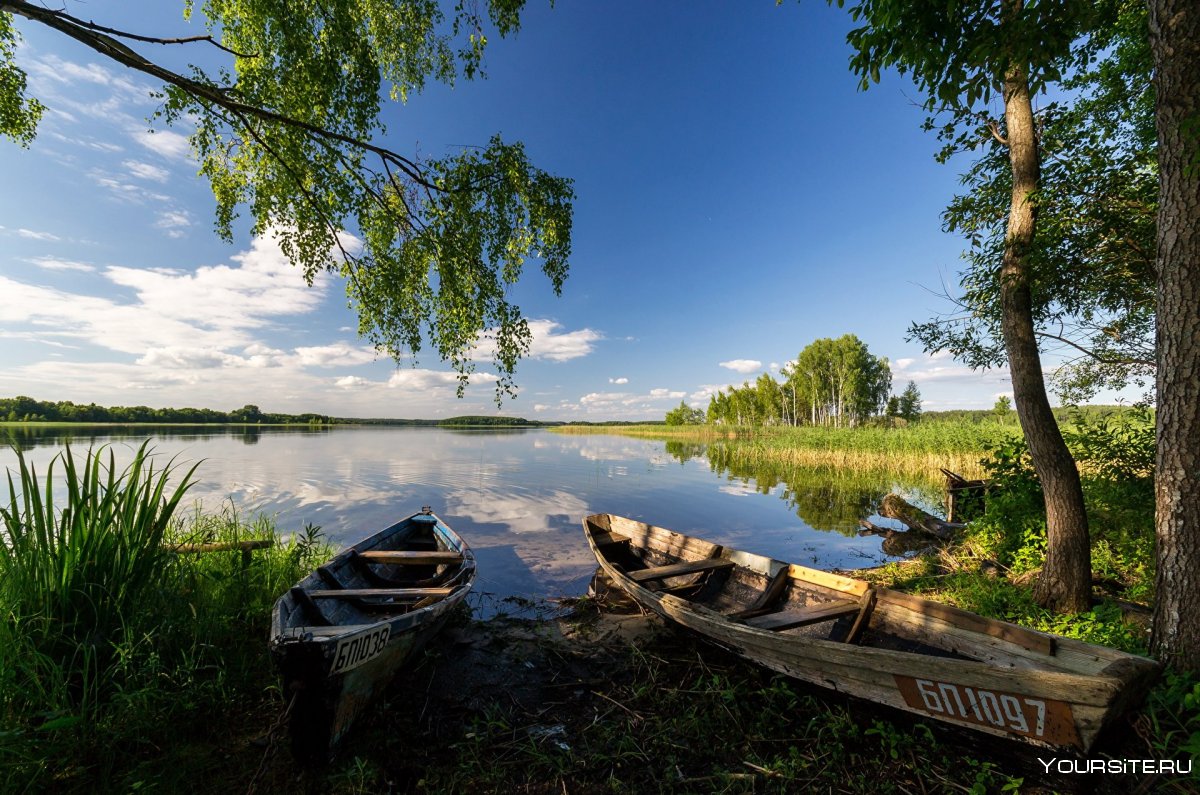 Природа Лесная Поляна у реки