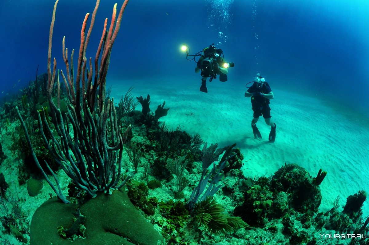 Кайо Гильермо риф подводный